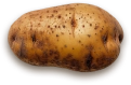Russet Potato
