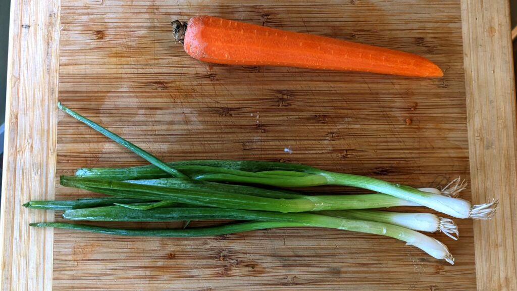 Carrot and Scallions